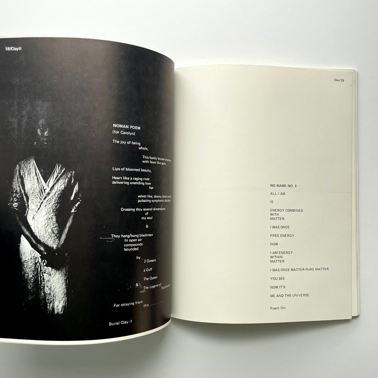 Heirs #9 (San Francisco Literary Magazine)