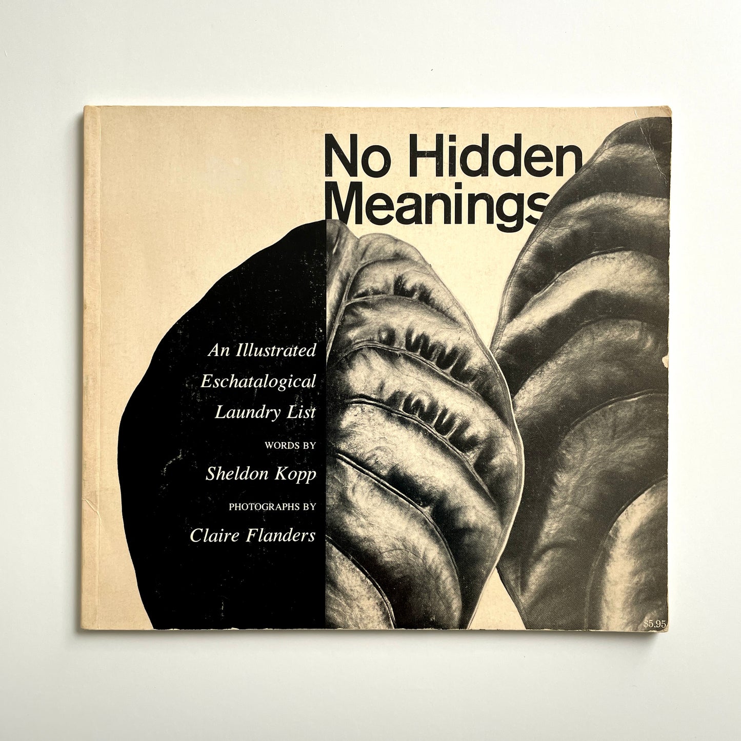 No Hidden Meanings: An Illustrated Eschatalogical Laundry List