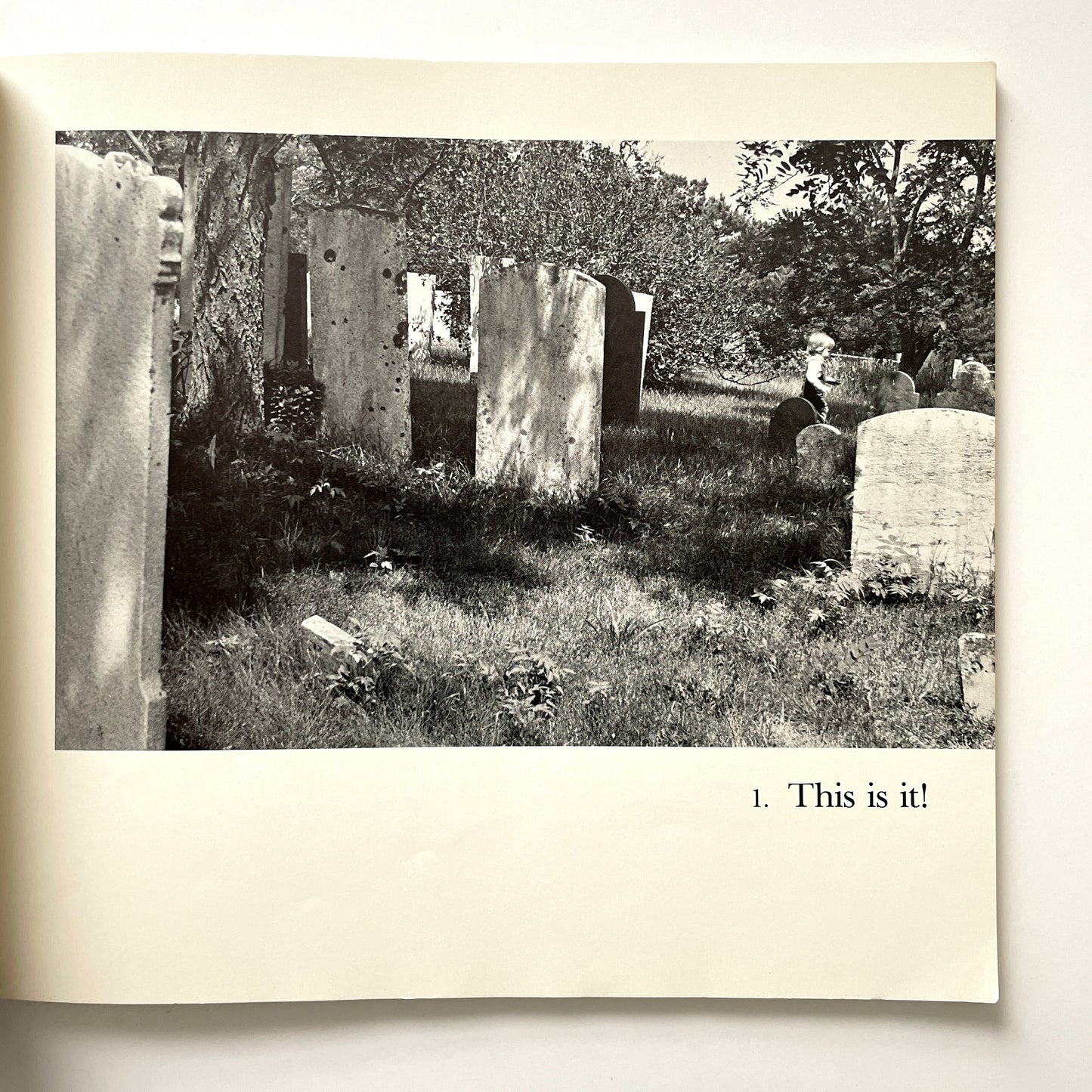 No Hidden Meanings: An Illustrated Eschatalogical Laundry List