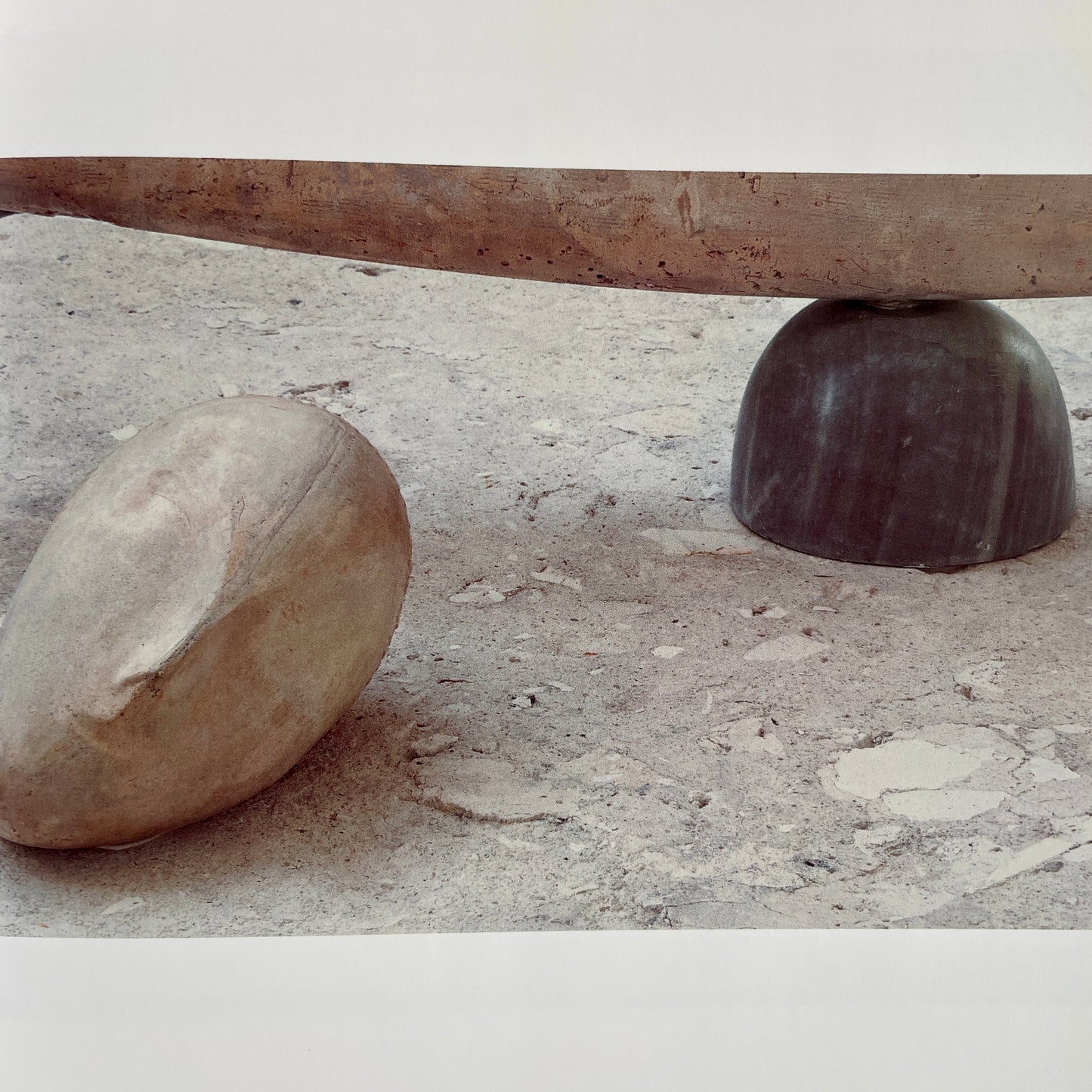 L'Atelier Brancusi Album