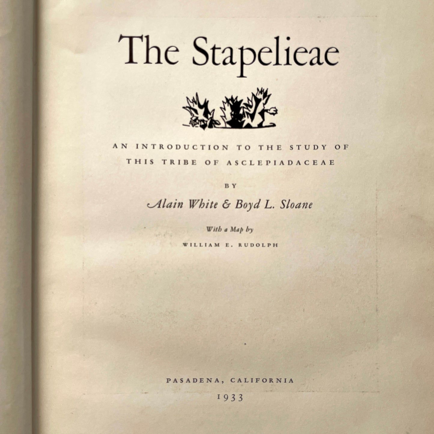 The Stapelieae