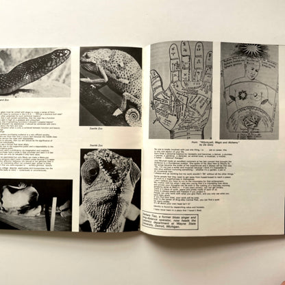 Studio Potter - Summer 1974