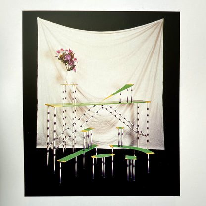 Domestic Animals: The Neoprimitive Style by Andrea Branzi